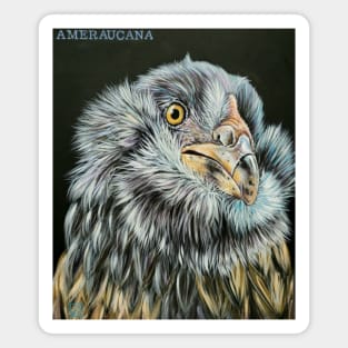 Ameraucana Chicken Magnet